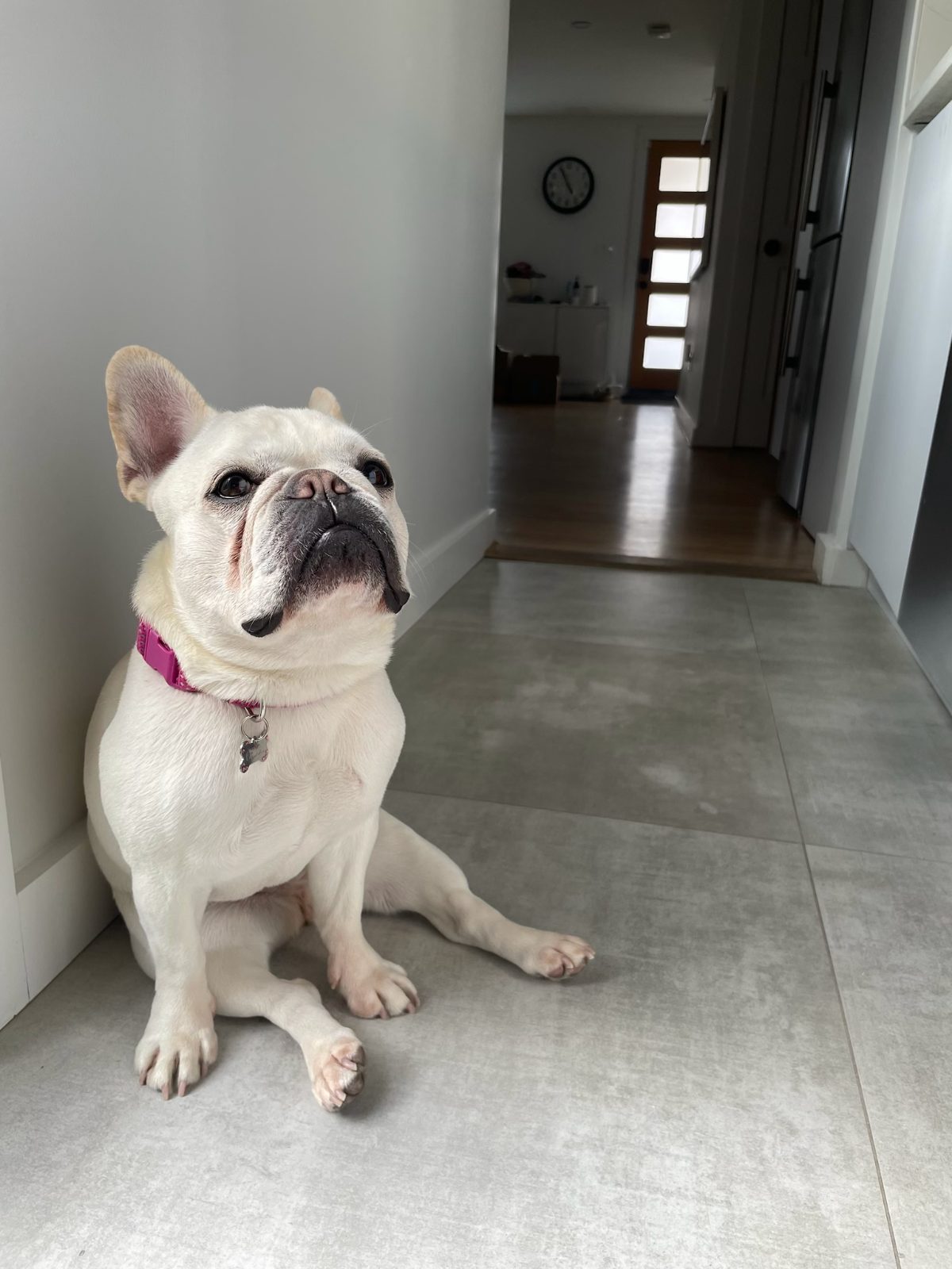 Chloe in the hallway