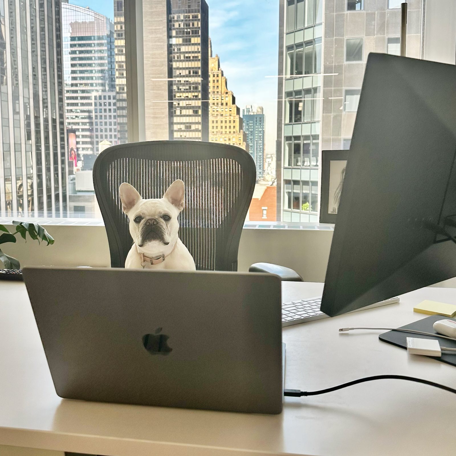 Chloe, general manager, at her desk